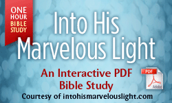 Into His Marvelous Light Bible Study